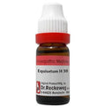 Dr. Reckeweg Equisetum H Dilution