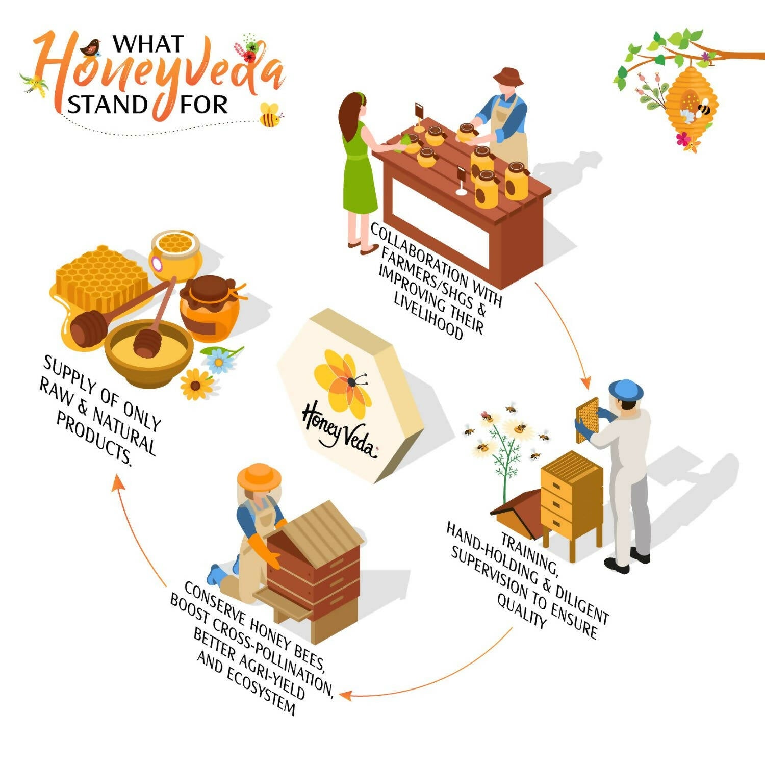 HoneyVeda Premium Raw Ajwain Honey