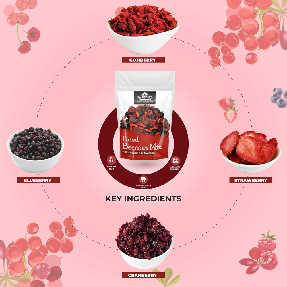 Nature Yard Berries mix without sugar - Mix of Dried Cranberry, Blueberry, Goji berry & Strawberry Dry fruits