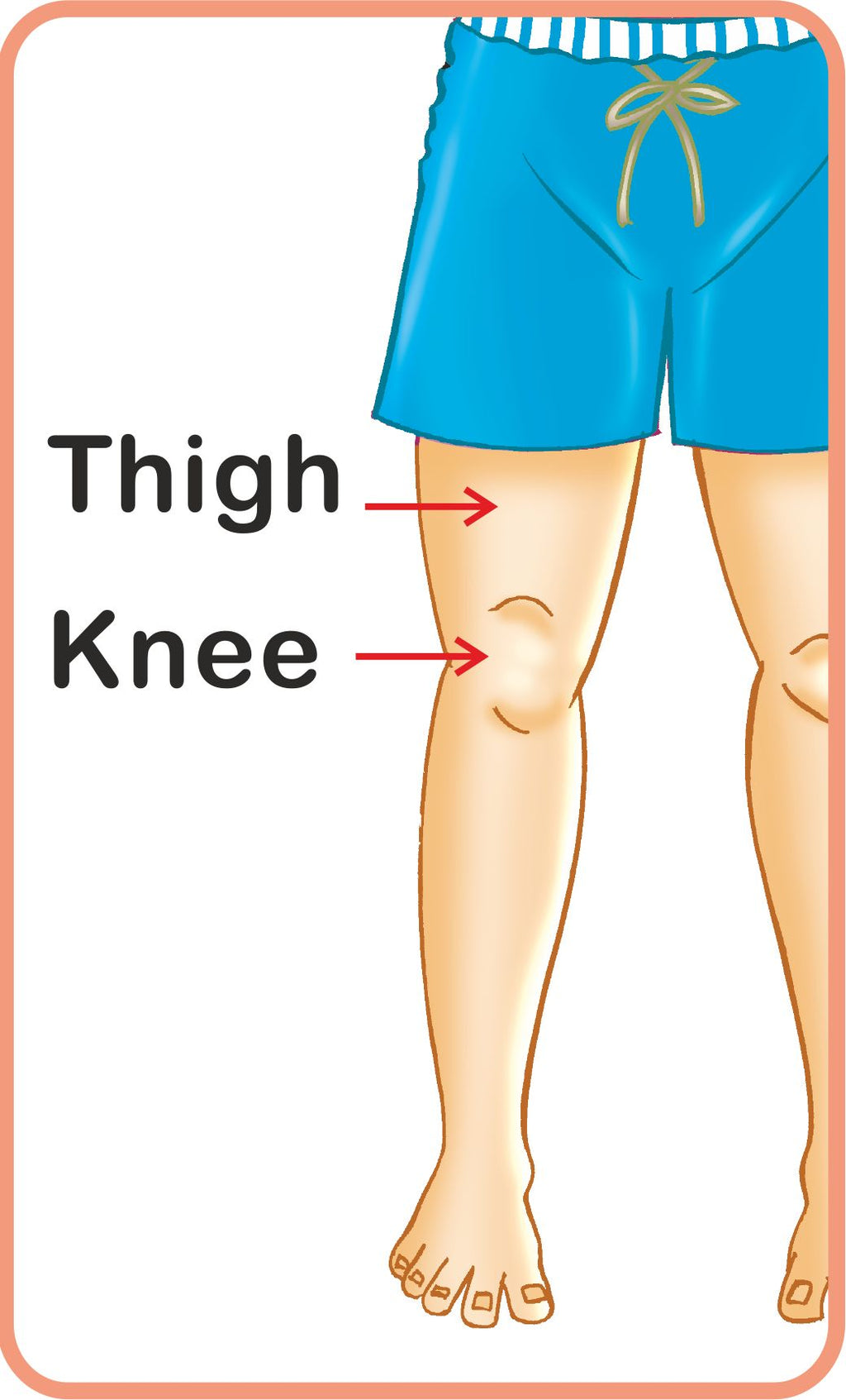 Jolly Kids Flash Card - My Body Parts