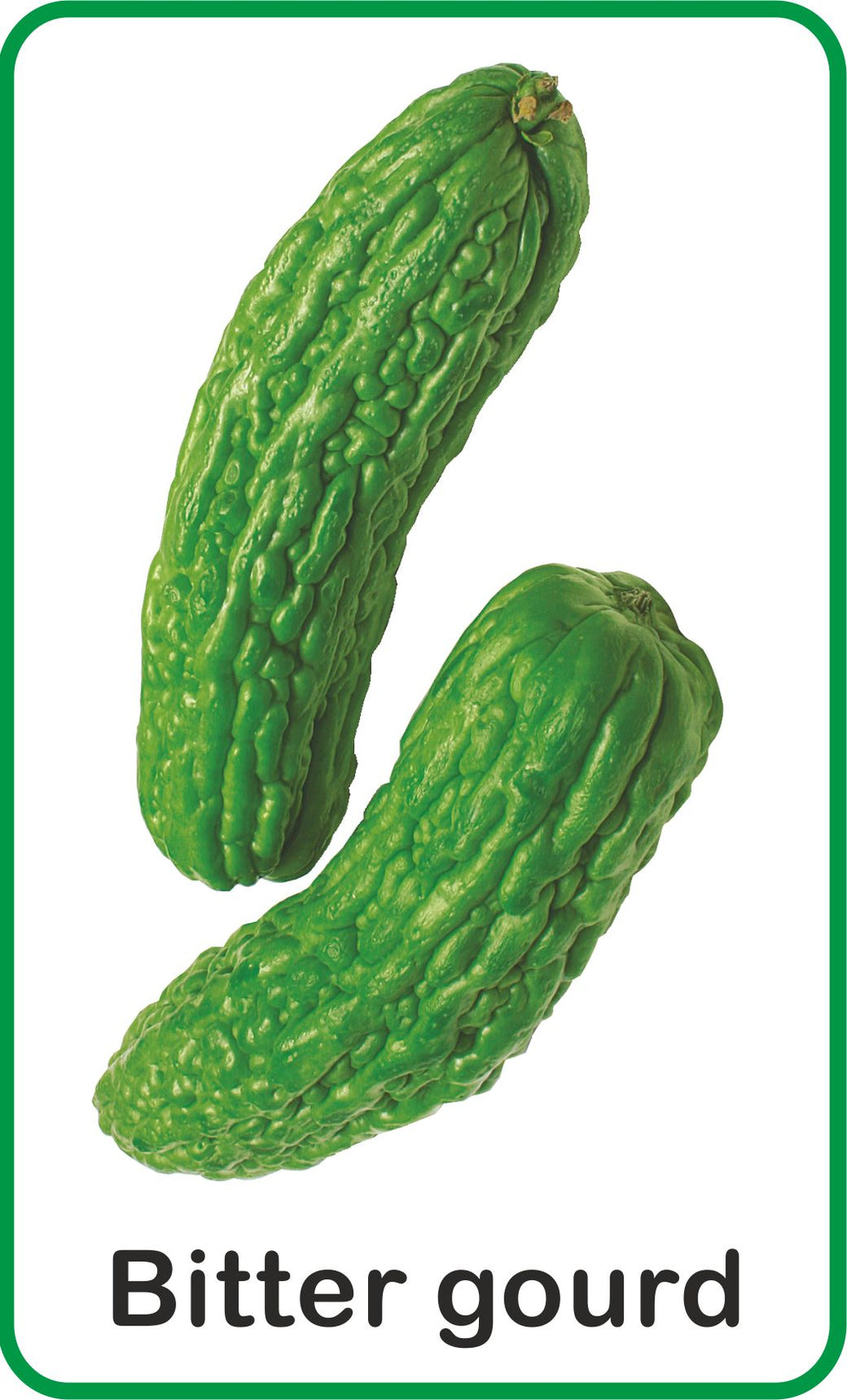 Jolly Kids Flash Card - Vegetables