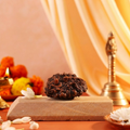 Pujashree Shivling Rudraksh – Divine Rudraksha for Lord Shiva Blessings, Spiritual Growth & Protection