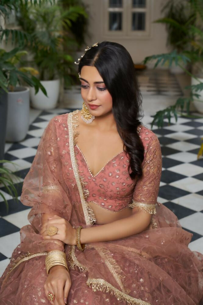 Aastha Fashion Rust Butterfly Net Tone To Tone Cotton Thread Work And Sequence Work Embroidery Wedding Wear Lehenga Choli