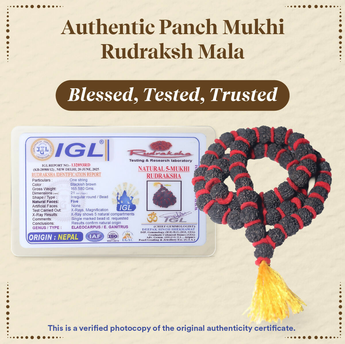 Pujashree Rudraksh Mala Large – Traditional Prayer Mala for Spiritual Healing, Chanting & Devotion