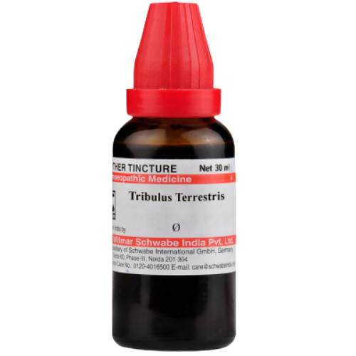 Dr. Willmar Schwabe India Tribulus Terrestris MT Q