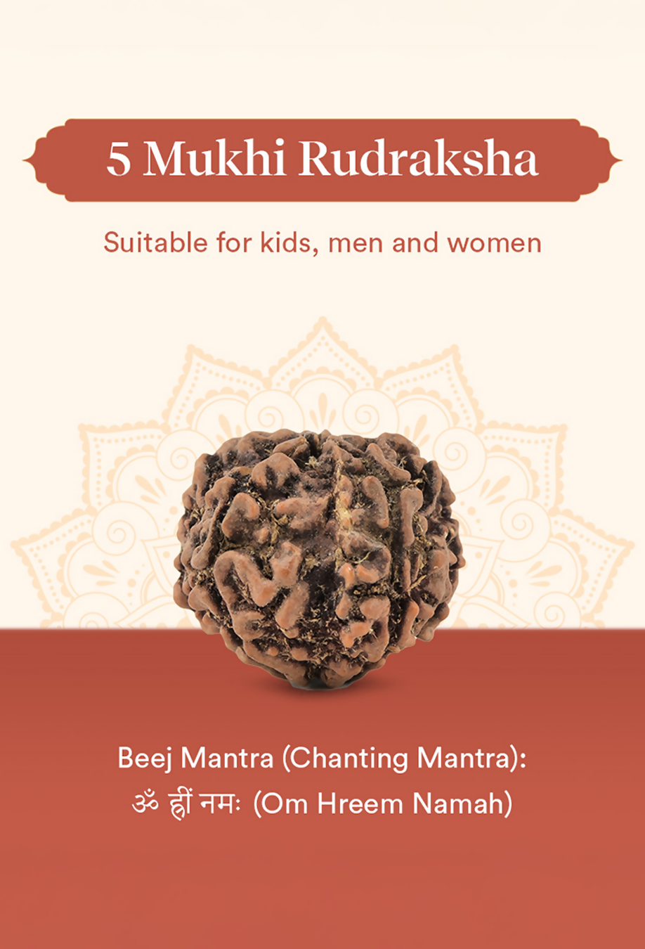 Pujashree Panchmukhi Rudraksh Single Bead – Sacred Five Mukhi Rudraksha for Protection & Peace