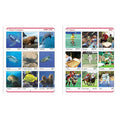 Jolly Kids Cut & Paste Project, Activities & Scrap Books Set of 4| Activity Charts-Flowers, Animals, National Flags etc
