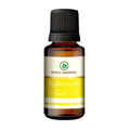 Korus Essential Ylang Ylang Essential Oil - Therapeutic Grade
