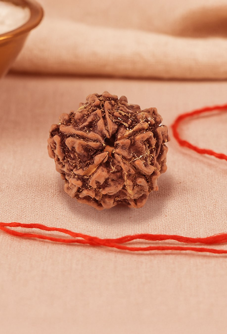 Pujashree Panchmukhi Rudraksh Single Bead – Sacred Five Mukhi Rudraksha for Protection & Peace