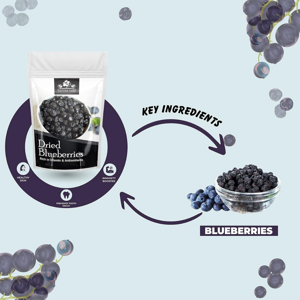 Nature Yard Blueberry Dried Without Sugar