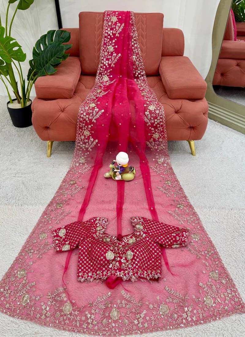 Prazu Fashion Pink Thread Sequence Organza Silk Party Wear Saree