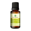 Korus Essential Tea Tree Essential Oil - Therapeutic Grade