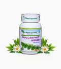 Planet Ayurveda Phyllanthus Niruri Capsules