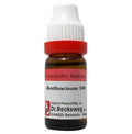 Dr. Reckeweg Anthracinum Dilution