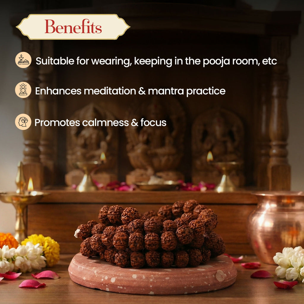 Pujashree Rudraksh Mala Medium 13mm – Divine Spiritual Beads for Puja, Yoga & Daily Meditation
