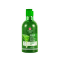 Ayouthveda Aloe Vera Shampoo