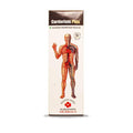 Alakananda Herbals Cardorium Plus Ayurvedic Syrup
