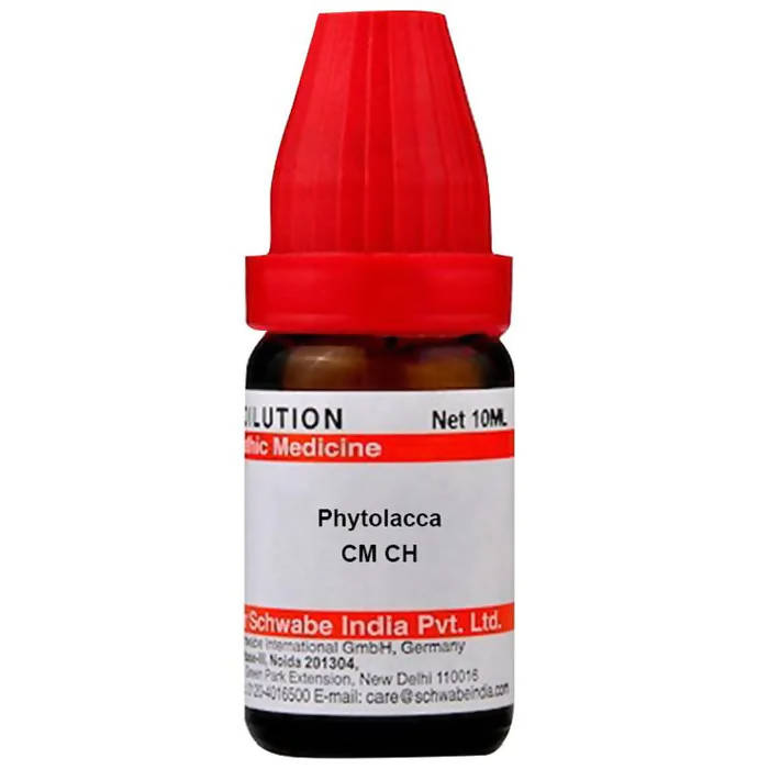 Dr. Willmar Schwabe India Phytolacca Dilution