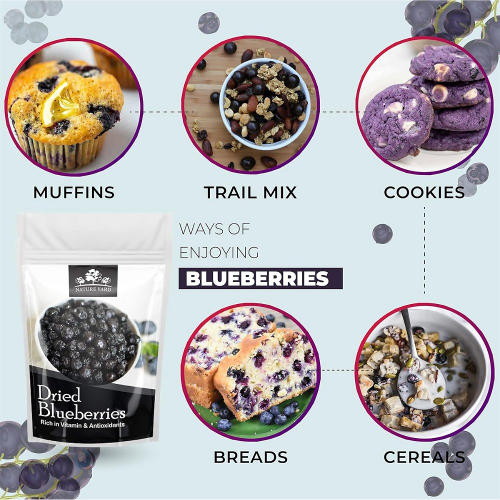 Nature Yard Blueberry Dried Without Sugar