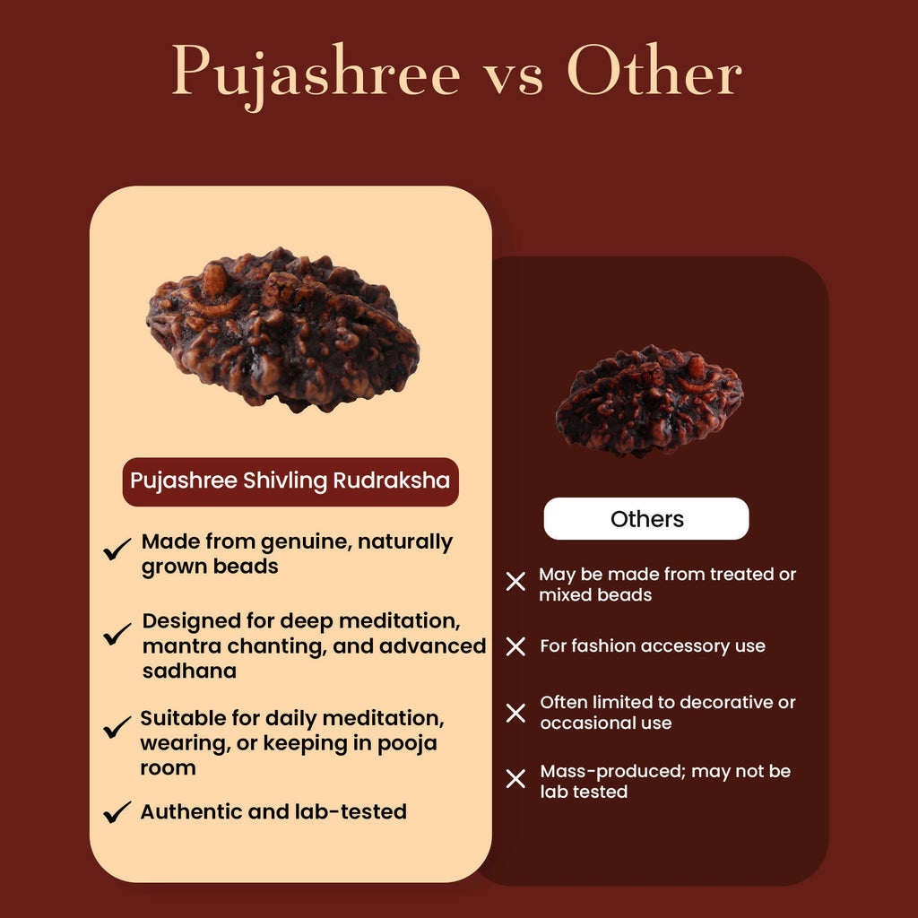 Pujashree Shivling Rudraksh – Divine Rudraksha for Lord Shiva Blessings, Spiritual Growth & Protection