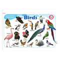 Jolly Kids Picture Learning Educational Table Mat for Kids Set of 8| Ages 2-6 Years| Laminated Picture learning Sheet