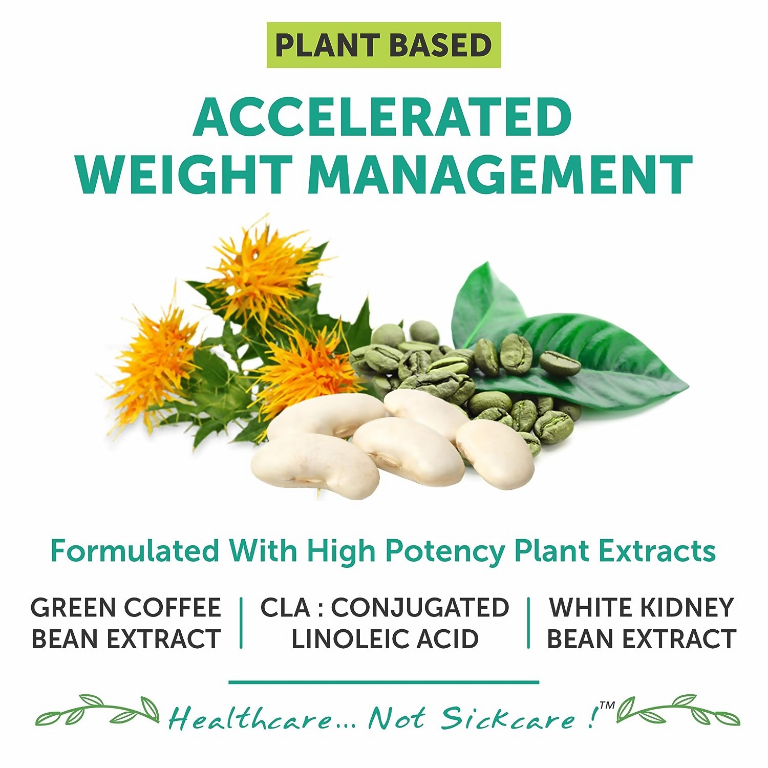 Bliss Welness CLA White Kidney Bean Extract Green Coffee Bean Extract Tablets
