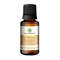 Korus Essential Ginger Essential Oil - Therapeutic Grade