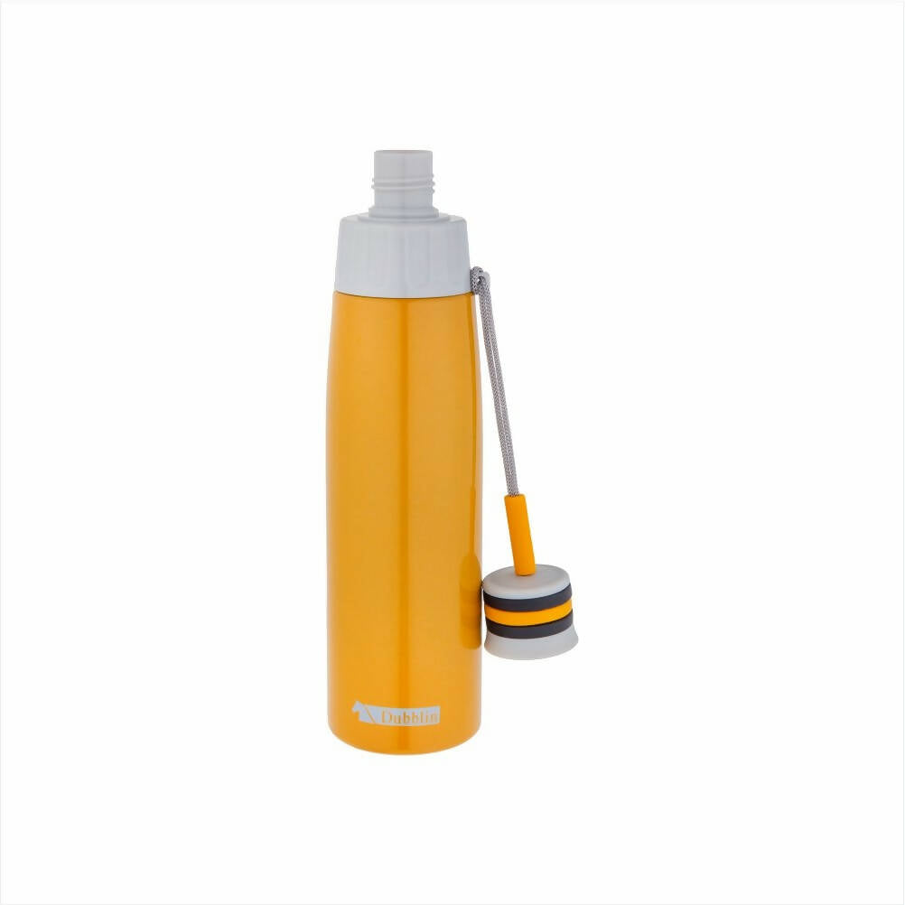 Dubblin Cheers Stainless Steel Sipper Water Bottle