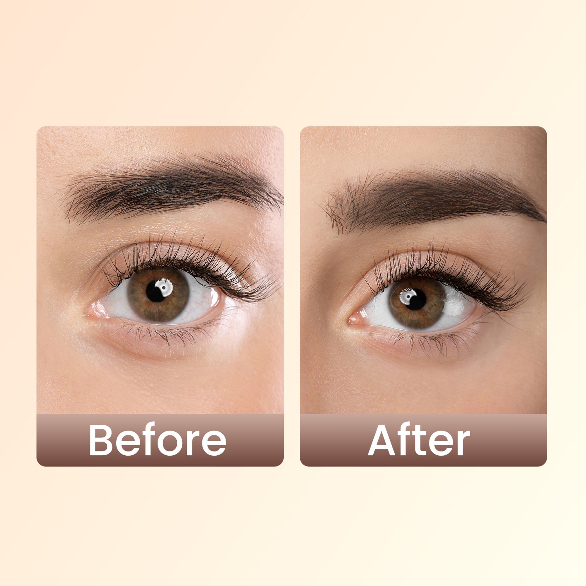 Swiss Beauty Brow Definer Pencil - 03 Deep Brown