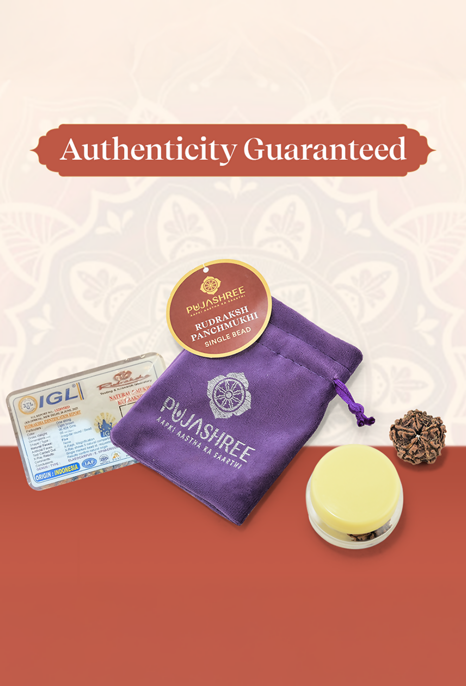 Pujashree Panchmukhi Rudraksh Single Bead – Sacred Five Mukhi Rudraksha for Protection & Peace