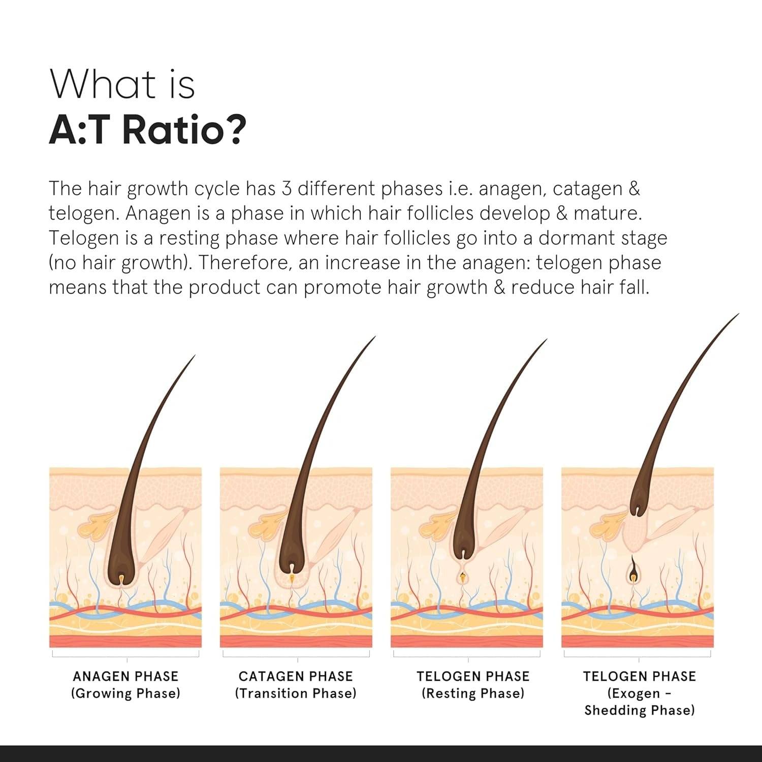 Minimalist Hair Growth Actives 18% Hair Serum