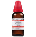 Dr. Willmar Schwabe India Gaultheria Procumbens Dilution
