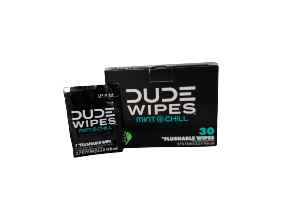 DUDE Wipes XL Flushable Wipes – Fragrance Free, Hypoallergenic Adult Wipes (400 CT / 480 CT)
