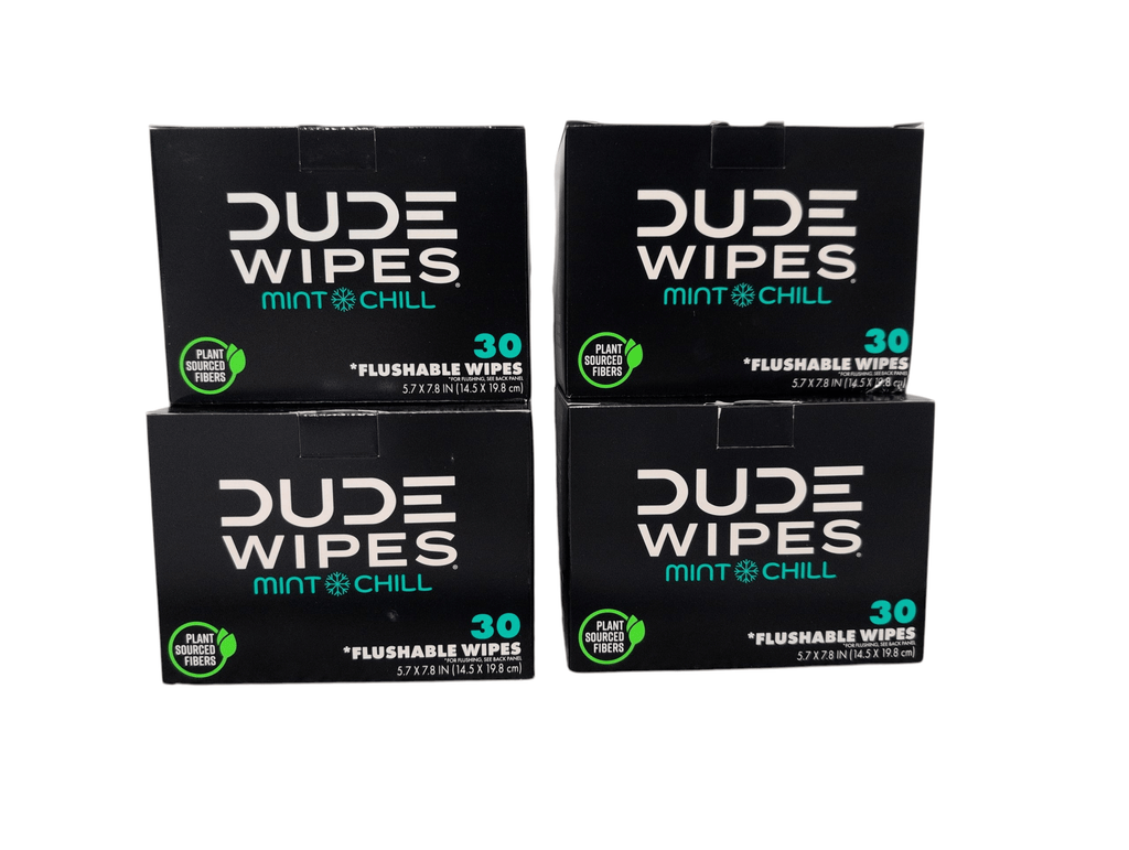DUDE Wipes XL Flushable Wipes – Fragrance Free, Hypoallergenic Adult Wipes (400 CT / 480 CT)