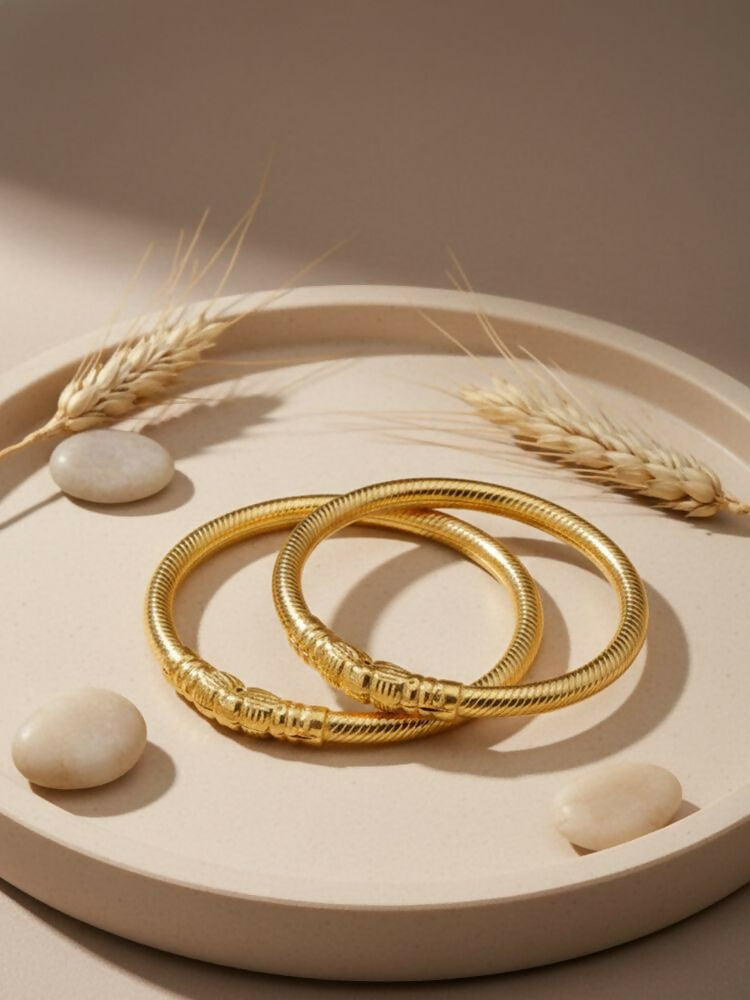 NVR Women Set of 2 Gold Plated Traditional Kada Bangle