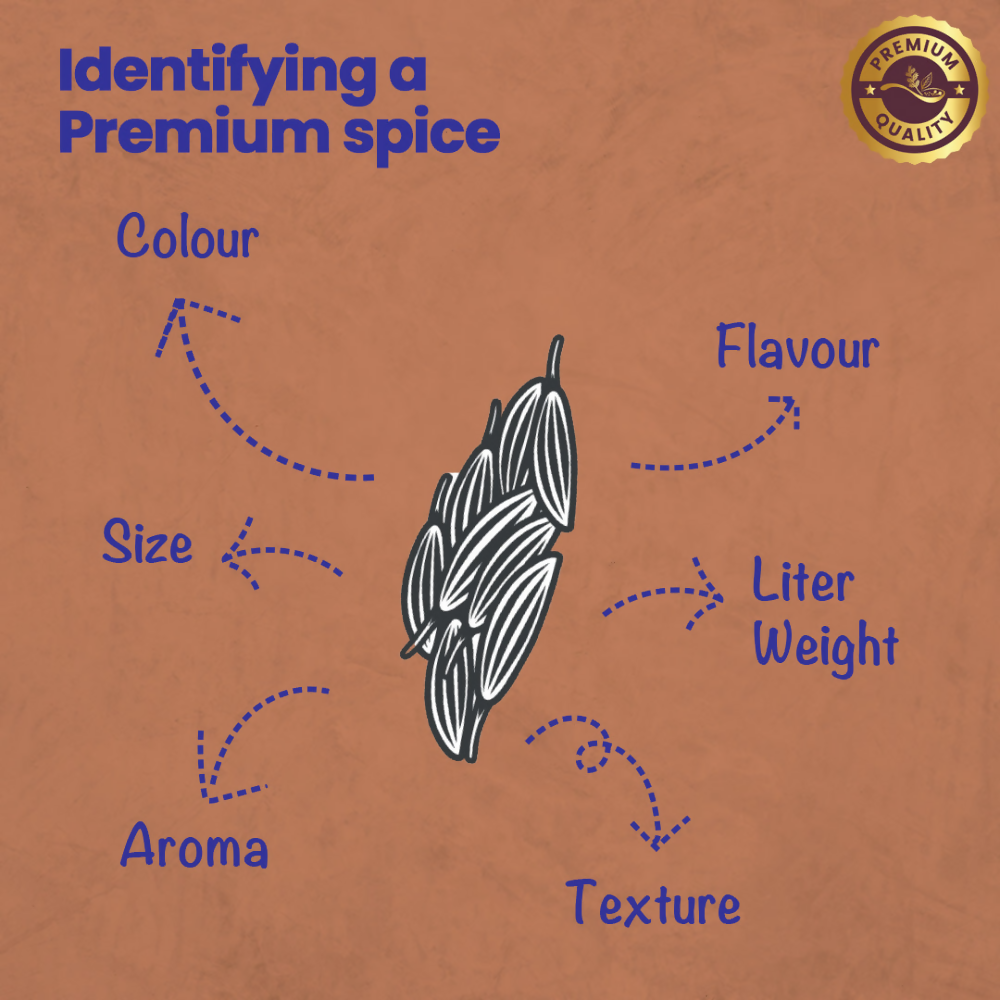 Crista Spices Cumin Powder