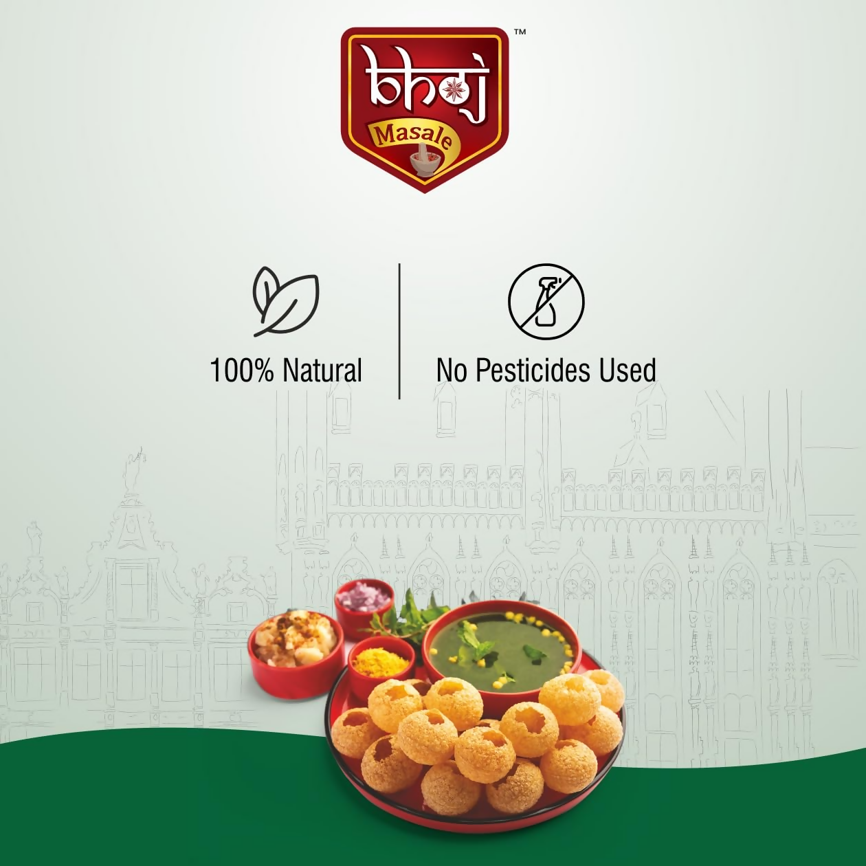 Bhoj Masale Panipuri Masala