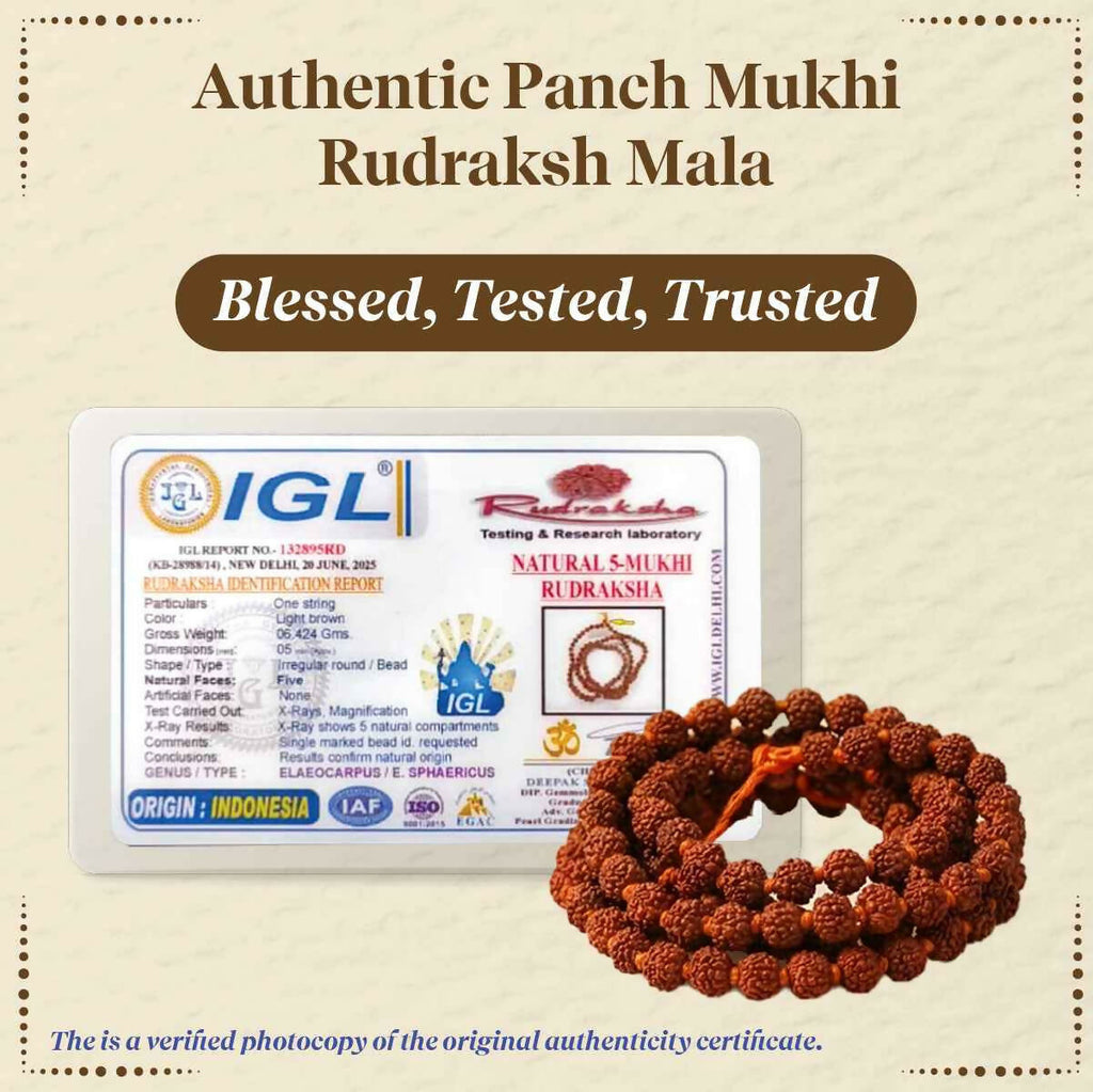 Pujashree Rudraksh Mala 4mm – Lightweight Sacred Bead Mala for Daily Wear & Meditation
