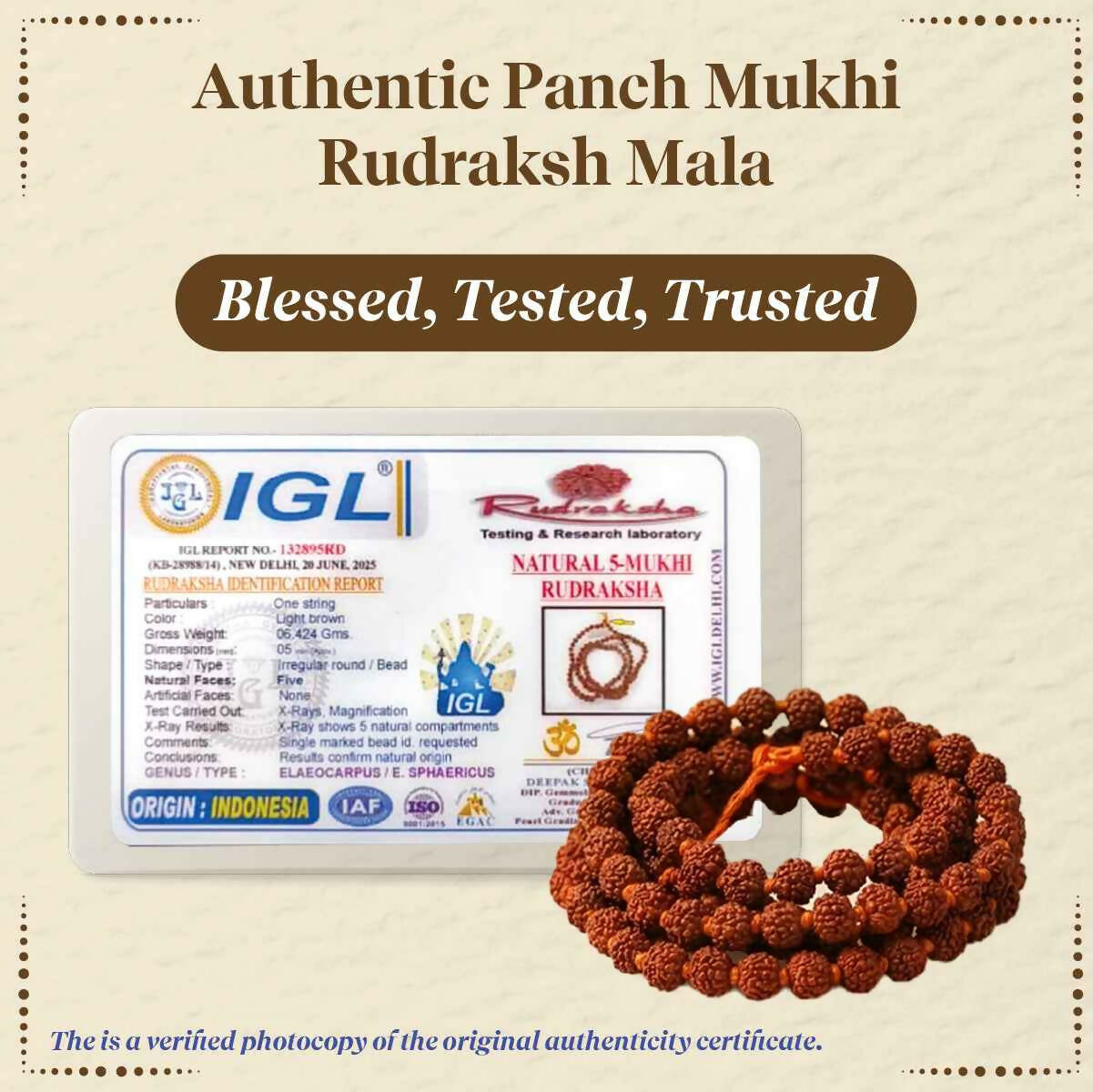 Pujashree Rudraksh Mala 4mm – Lightweight Sacred Bead Mala for Daily Wear & Meditation