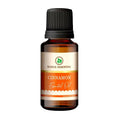 Korus Essential Cinnamon Essential Oil - Therapeutic Grade