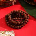 Pujashree Rudraksh Mala Medium 13mm – Divine Spiritual Beads for Puja, Yoga & Daily Meditation