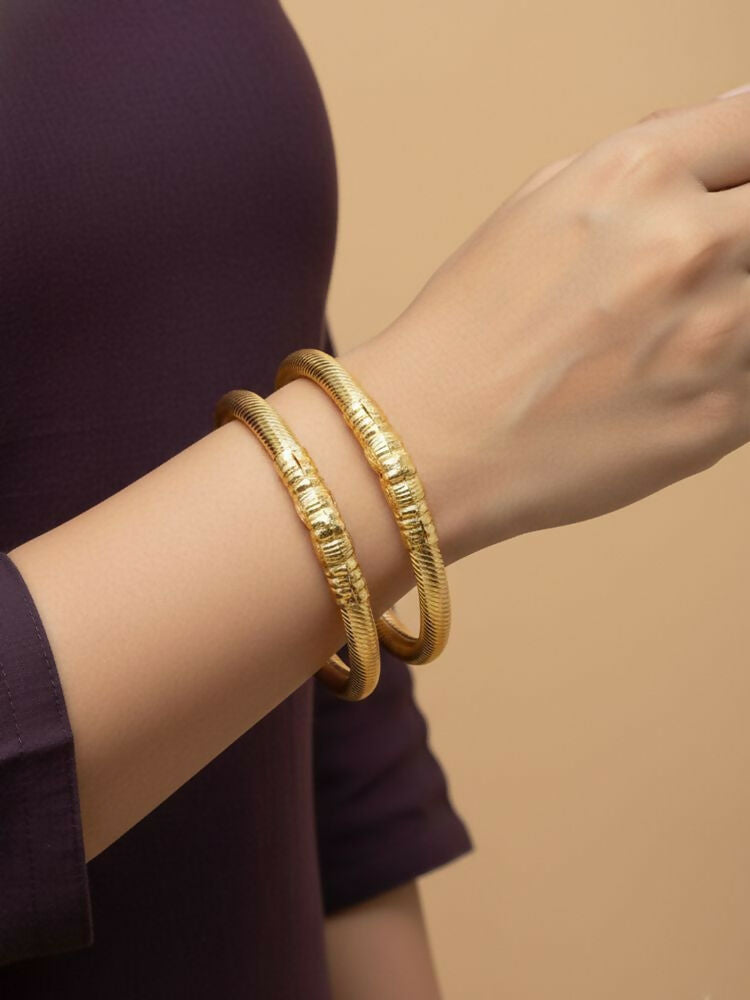 NVR Women Set of 2 Gold Plated Traditional Kada Bangle