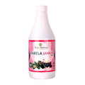 Balu Herbals Karela Jamun Ras