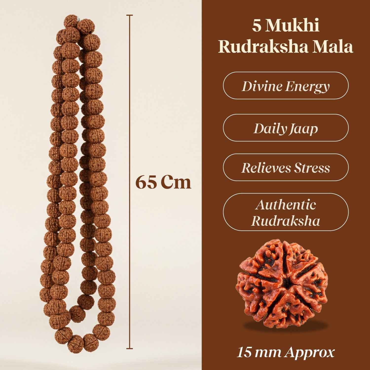 Pujashree Rudraksh Mala Large – Traditional Prayer Mala for Spiritual Healing, Chanting & Devotion