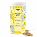 Onelife Plant Protein Banana Caramel