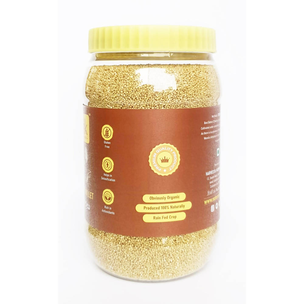 Nature's Trunk Brown Top Millets (Andu Korralu)
