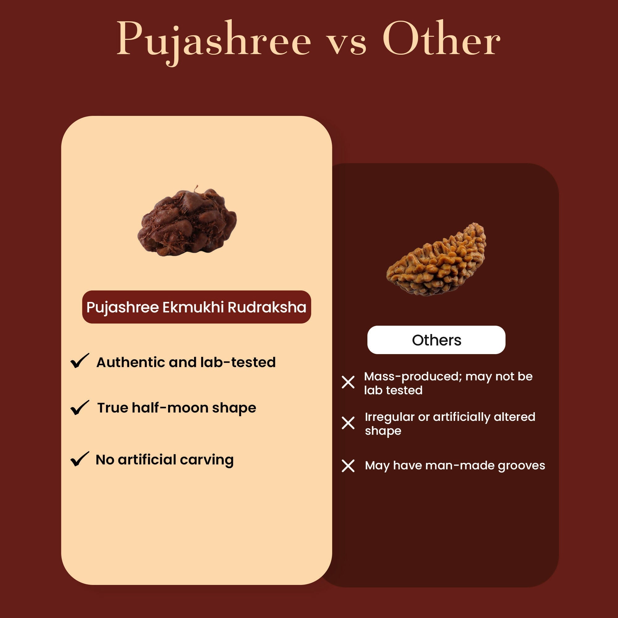 Pujashree Ek Mukhi Rudraksh – Sacred One Mukhi Rudraksha for Lord Shiva Blessings, Peace & Spiritual Growth