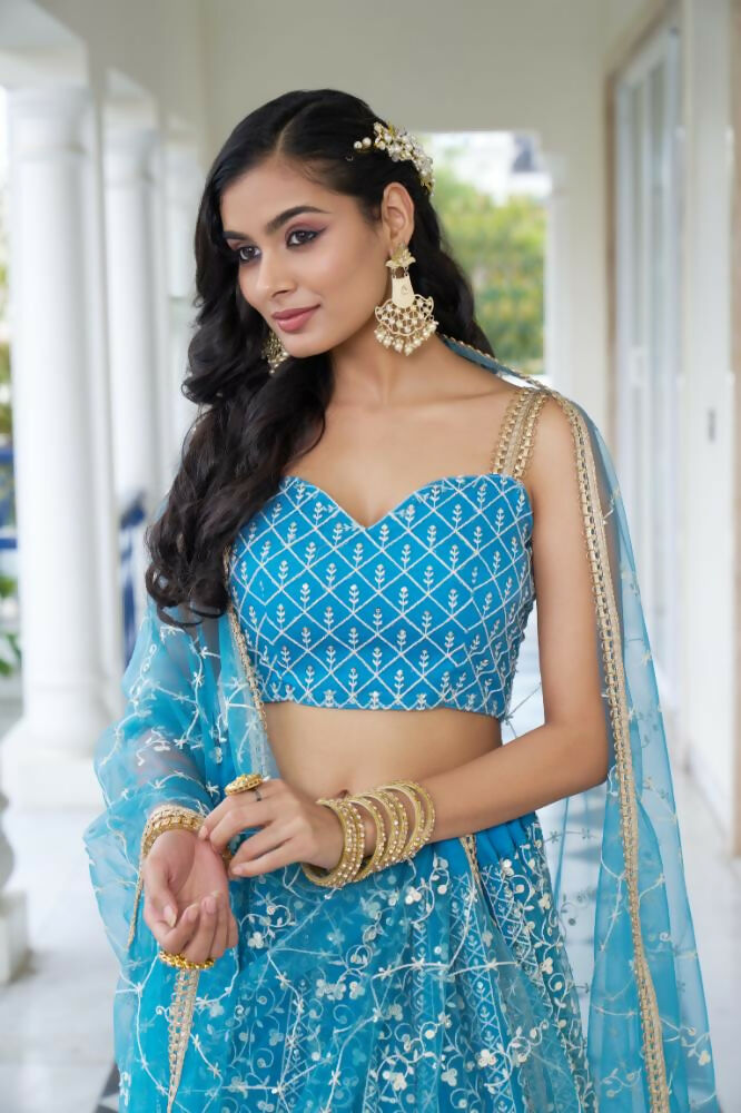 Aastha Fashion Sky Blue Butterfly Net White Cotton Thread Work And Sequence Work Embroidery Wedding Wear Lehenga Choli