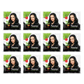 Neeta Hair Color Powder Natural Henna Based Hair Color (Pack of 12) Natural Black