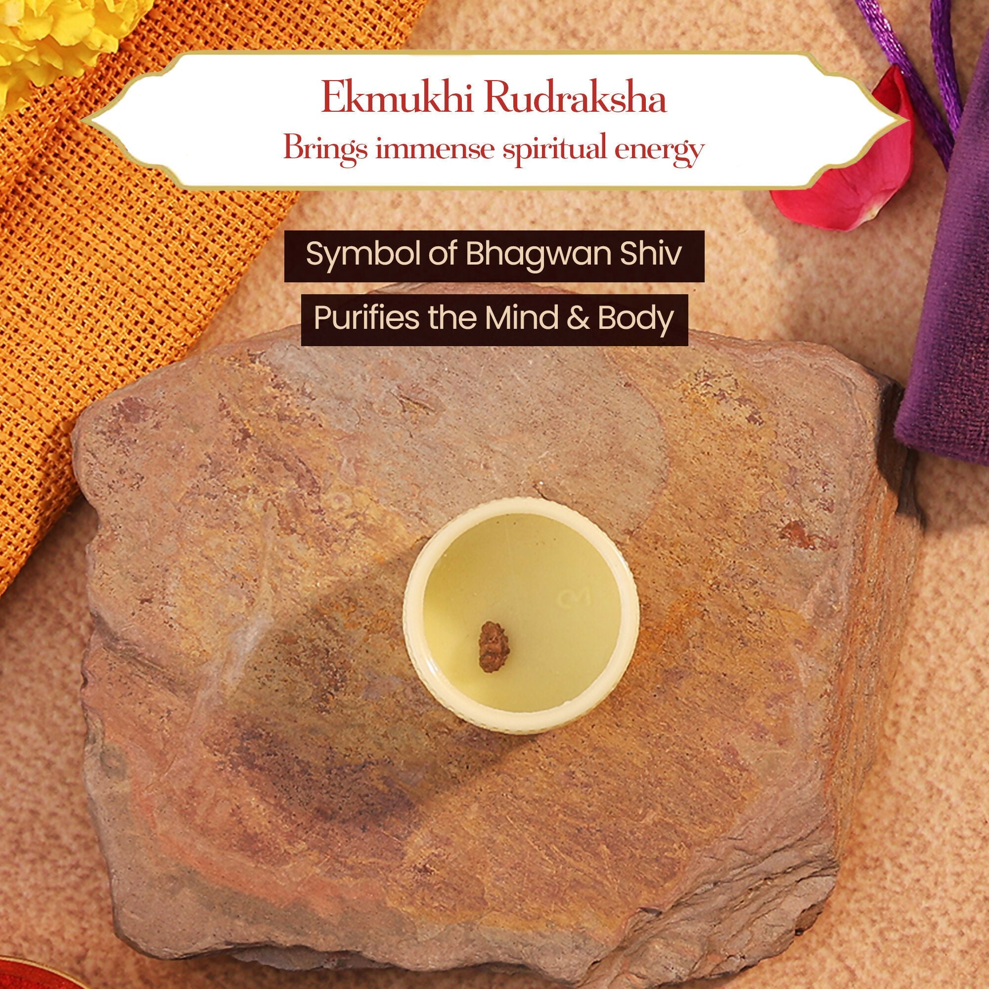 Pujashree Ek Mukhi Rudraksh – Sacred One Mukhi Rudraksha for Lord Shiva Blessings, Peace & Spiritual Growth